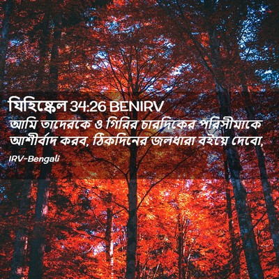 Picture 02 - যিহিষ্কেল 34:26 BENIRV - আমি তাদেরকে ও - Bible Verse Picture