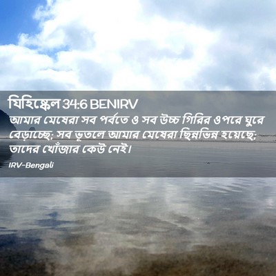 Picture 02 - যিহিষ্কেল 34:6 BENIRV - আমার মেষেরা সব - Bible Verse Picture