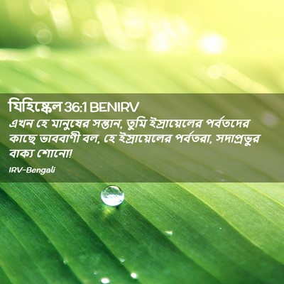Picture 02 - যিহিষ্কেল 36:1 BENIRV - এখন হে মানুষের - Bible Verse Picture
