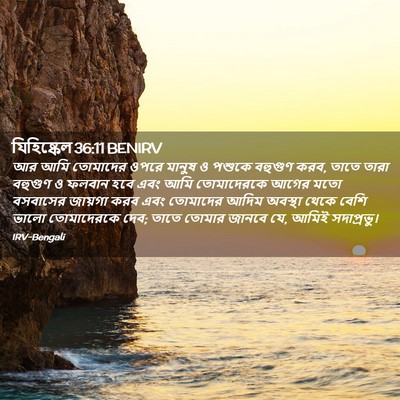Picture 02 - যিহিষ্কেল 36:11 BENIRV - আর আমি তোমাদের - Bible Verse Picture