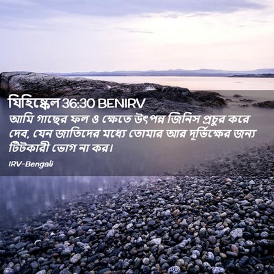Picture 02 - যিহিষ্কেল 36:30 BENIRV - আমি গাছের ফল ও - Bible Verse Picture