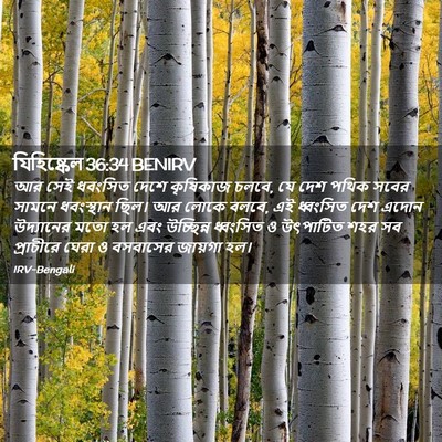 Picture 02 - যিহিষ্কেল 36:34 BENIRV - আর সেই ধবংসিত দেশে - Bible Verse Picture