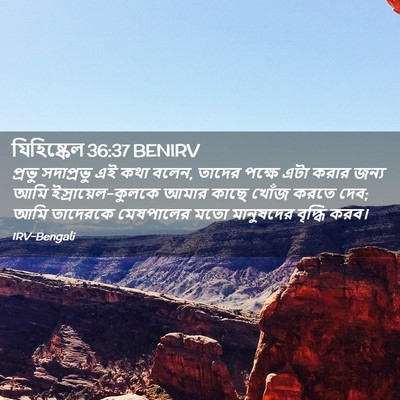 Picture 02 - যিহিষ্কেল 36:37 BENIRV - প্রভু সদাপ্রভু এই - Bible Verse Picture
