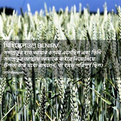 Picture 02 - যিহিষ্কেল 37:1 BENIRV - সদাপ্রভুর হাত - Bible Verse Picture