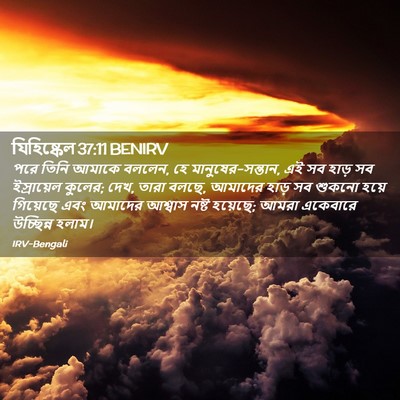 Picture 02 - যিহিষ্কেল 37:11 BENIRV - পরে তিনি আমাকে - Bible Verse Picture