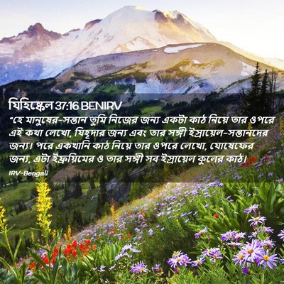 Picture 02 - যিহিষ্কেল 37:16 BENIRV - “হে - Bible Verse Picture