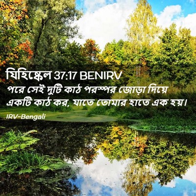 Picture 02 - যিহিষ্কেল 37:17 BENIRV - পরে সেই দুটি কাঠ - Bible Verse Picture
