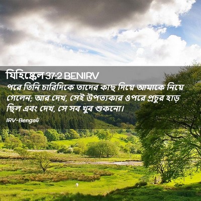 Picture 02 - যিহিষ্কেল 37:2 BENIRV - পরে তিনি চারিদিকে - Bible Verse Picture