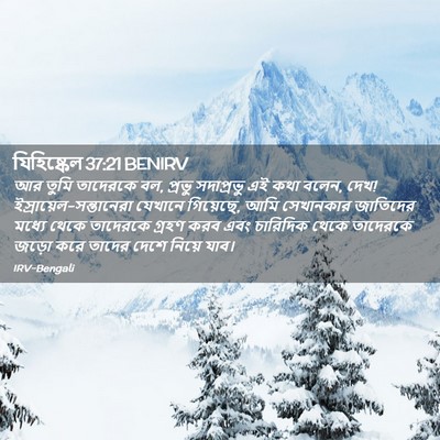 Picture 02 - যিহিষ্কেল 37:21 BENIRV - আর তুমি তাদেরকে বল, - Bible Verse Picture