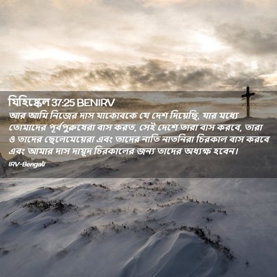 Picture 02 - যিহিষ্কেল 37:25 BENIRV - আর আমি নিজের দাস - Bible Verse Picture