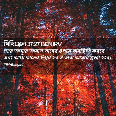 Picture 02 - যিহিষ্কেল 37:27 BENIRV - আর আমার আবাস তাদের - Bible Verse Picture