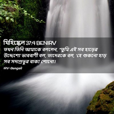 Picture 02 - যিহিষ্কেল 37:4 BENIRV - তখন তিনি আমাকে - Bible Verse Picture