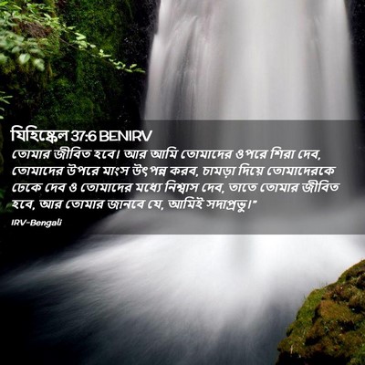 Picture 02 - যিহিষ্কেল 37:6 BENIRV - তোমার জীবিত হবে। - Bible Verse Picture