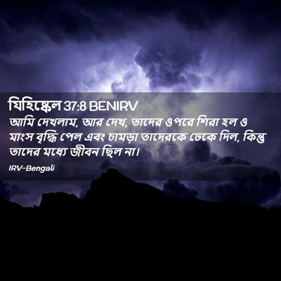 Picture 02 - যিহিষ্কেল 37:8 BENIRV - আমি দেখলাম, আর দেখ, - Bible Verse Picture