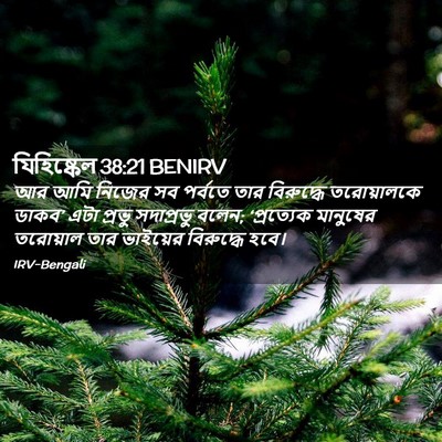 Picture 02 - যিহিষ্কেল 38:21 BENIRV - আর আমি নিজের সব - Bible Verse Picture