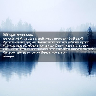 Picture 02 - যিহিষ্কেল 39:11 BENIRV - তখন এটা সেই দিনের - Bible Verse Picture
