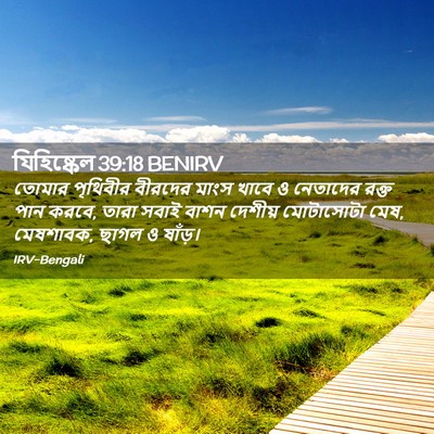 Picture 02 - যিহিষ্কেল 39:18 BENIRV - তোমার পৃথিবীর - Bible Verse Picture