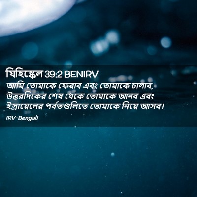 Picture 02 - যিহিষ্কেল 39:2 BENIRV - আমি তোমাকে ফেরাব - Bible Verse Picture