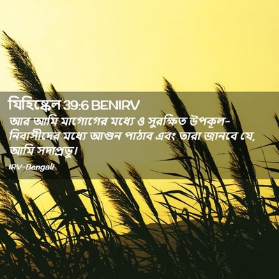 Picture 02 - যিহিষ্কেল 39:6 BENIRV - আর আমি মাগোগের - Bible Verse Picture