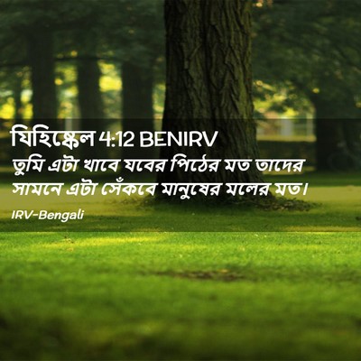 Picture 02 - যিহিষ্কেল 4:12 BENIRV - তুমি এটা খাবে যবের - Bible Verse Picture
