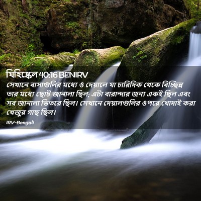 Picture 02 - যিহিষ্কেল 40:16 BENIRV - সেখানে বাসাগুলির - Bible Verse Picture