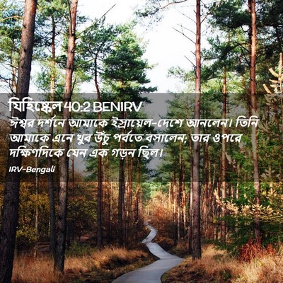 Picture 02 - যিহিষ্কেল 40:2 BENIRV - ঈশ্বর দর্শনে - Bible Verse Picture