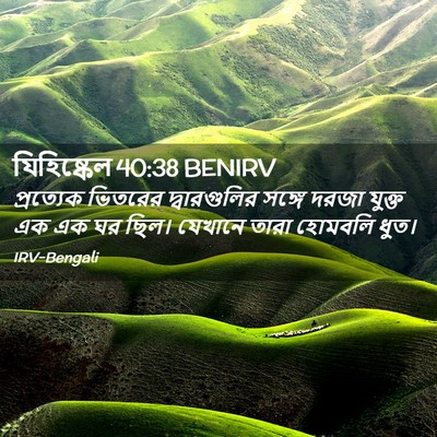 Picture 02 - যিহিষ্কেল 40:38 BENIRV - প্রত্যেক ভিতরের - Bible Verse Picture