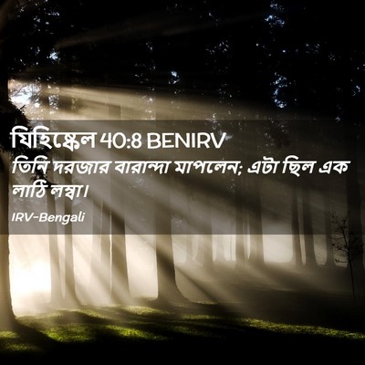 Picture 02 - যিহিষ্কেল 40:8 BENIRV - তিনি দরজার - Bible Verse Picture
