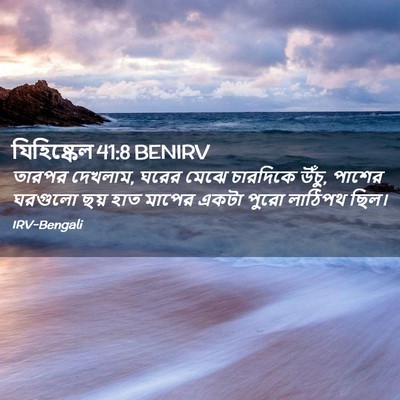 Picture 02 - যিহিষ্কেল 41:8 BENIRV - তারপর দেখলাম, ঘরের - Bible Verse Picture
