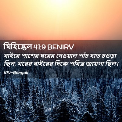 Picture 02 - যিহিষ্কেল 41:9 BENIRV - বাইরে পাশের ঘরের - Bible Verse Picture