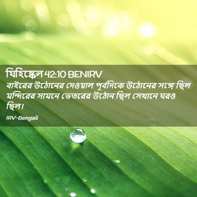 Picture 02 - যিহিষ্কেল 42:10 BENIRV - বাইরের উঠোনের - Bible Verse Picture