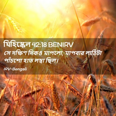Picture 02 - যিহিষ্কেল 42:18 BENIRV - সে দক্ষিণ দিকও - Bible Verse Picture