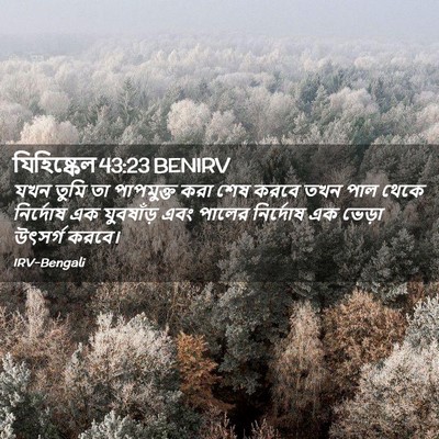 Picture 02 - যিহিষ্কেল 43:23 BENIRV - যখন তুমি তা - Bible Verse Picture
