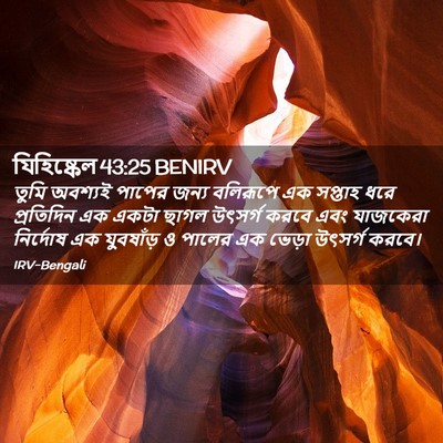 Picture 02 - যিহিষ্কেল 43:25 BENIRV - তুমি অবশ্যই পাপের - Bible Verse Picture