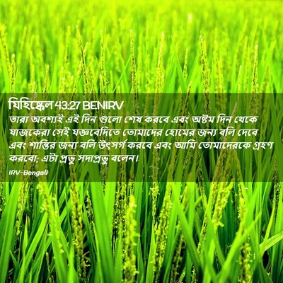 Picture 02 - যিহিষ্কেল 43:27 BENIRV - তারা অবশ্যই এই দিন - Bible Verse Picture