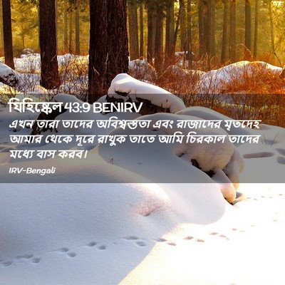 Picture 02 - যিহিষ্কেল 43:9 BENIRV - এখন তারা তাদের - Bible Verse Picture