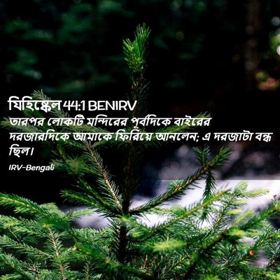 Picture 02 - যিহিষ্কেল 44:1 BENIRV - তারপর লোকটি - Bible Verse Picture