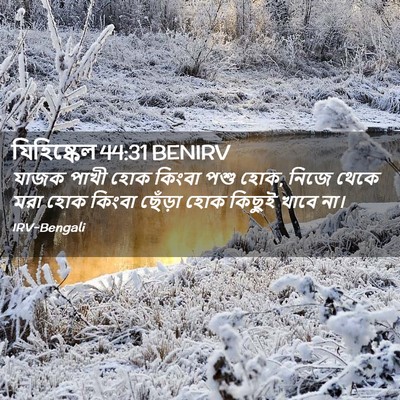 Picture 02 - যিহিষ্কেল 44:31 BENIRV - যাজক পাখী হোক - Bible Verse Picture