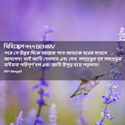 Picture 02 - যিহিষ্কেল 44:4 BENIRV - পরে সে উত্তর দিকে - Bible Verse Picture