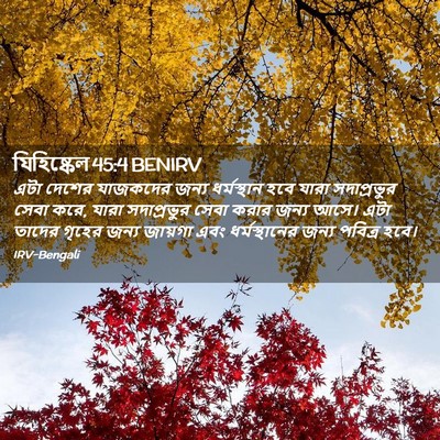 Picture 02 - যিহিষ্কেল 45:4 BENIRV - এটা দেশের যাজকদের - Bible Verse Picture