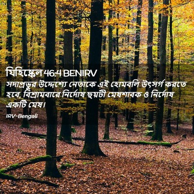Picture 02 - যিহিষ্কেল 46:4 BENIRV - সদাপ্রভুর - Bible Verse Picture