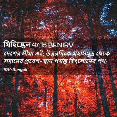 Picture 02 - যিহিষ্কেল 47:15 BENIRV - দেশের সীমা এই; - Bible Verse Picture