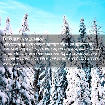 Picture 02 - যিহিষ্কেল 47:9 BENIRV - এই স্রোতের জল যে - Bible Verse Picture