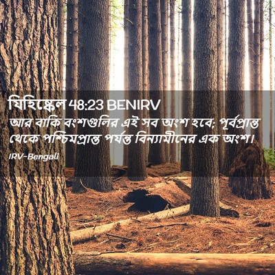 Picture 02 - যিহিষ্কেল 48:23 BENIRV - আর বাকি বংশগুলির - Bible Verse Picture