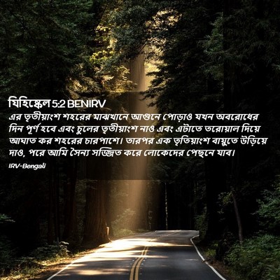 Picture 02 - যিহিষ্কেল 5:2 BENIRV - এর তৃতীয়াংশ - Bible Verse Picture