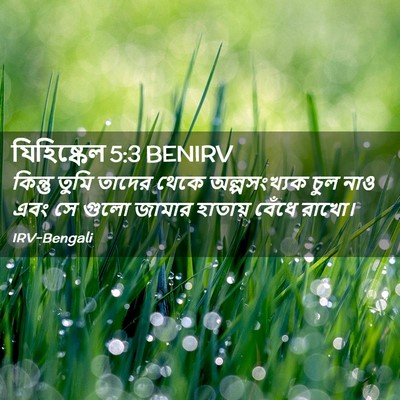 Picture 02 - যিহিষ্কেল 5:3 BENIRV - কিন্তু তুমি তাদের - Bible Verse Picture