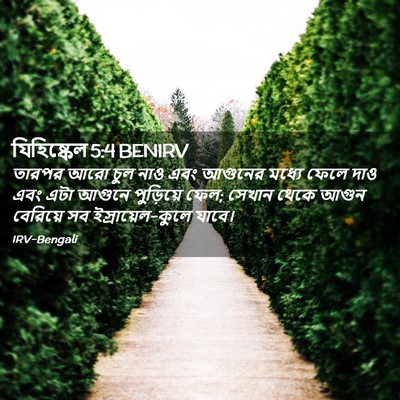 Picture 02 - যিহিষ্কেল 5:4 BENIRV - তারপর আরো চুল নাও - Bible Verse Picture