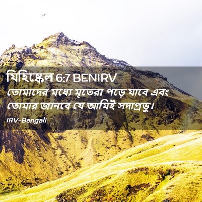 Picture 02 - যিহিষ্কেল 6:7 BENIRV - তোমাদের মধ্যে - Bible Verse Picture