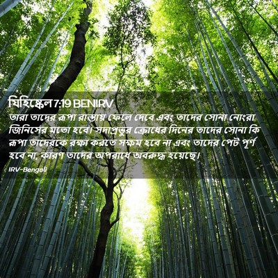 Picture 02 - যিহিষ্কেল 7:19 BENIRV - তারা তাদের রূপা - Bible Verse Picture