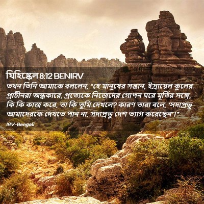 Picture 02 - যিহিষ্কেল 8:12 BENIRV - তখন তিনি আমাকে - Bible Verse Picture